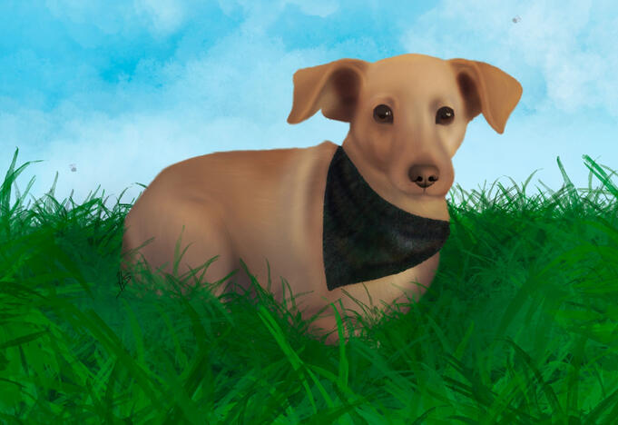 $20 portrait + $5 background = $25